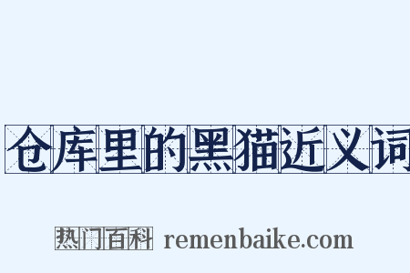 仓库里的黑猫近义词是什么意思的图片
